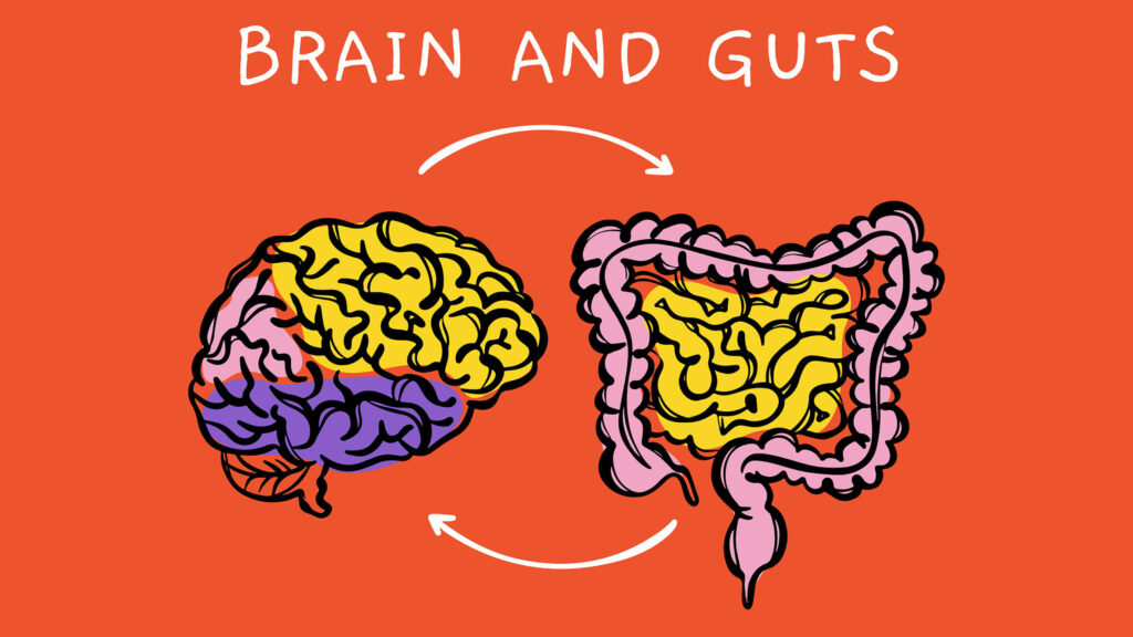 brain gut connection and depression